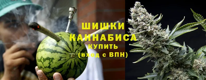 mega как зайти  где продают наркотики  Дно  Марихуана конопля 